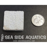 1.5" Cement Frag Square 100pcs per bag-www.YourFishStore.com