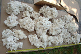 50 Pounds - Base Rock ($1.88 Per Pound)-Rock & Sand Package-www.YourFishStore.com