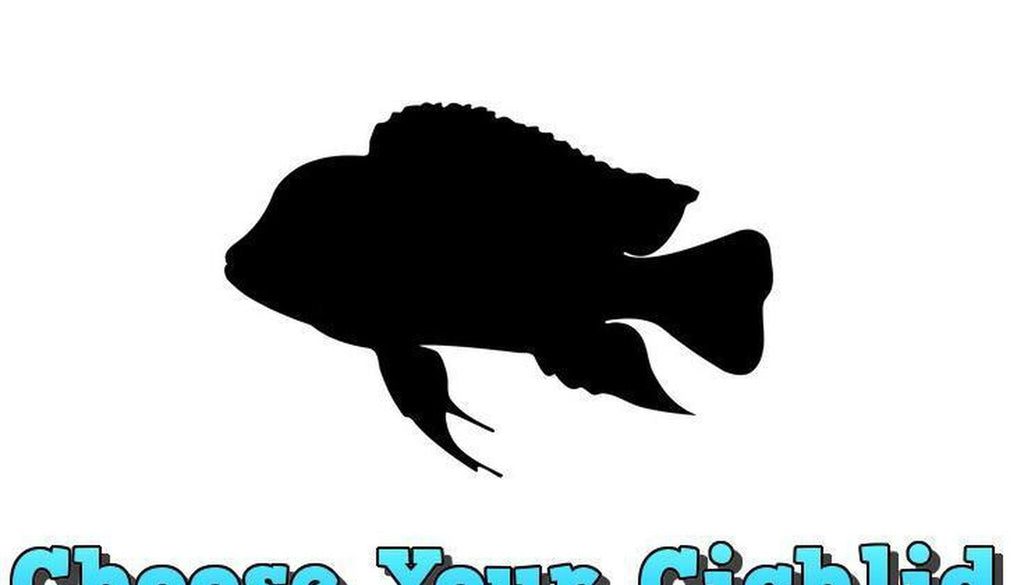 Choose Your Large x2 Cichlid Package