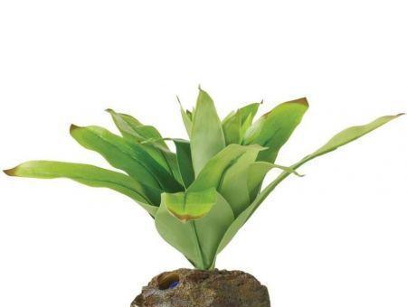 Exo Terra Dart Frog Bromelia Smart Terrarium Plant