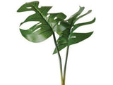 Exo Terra Philodendron Smart Terrarium Plant-Reptile-www.YourFishStore.com