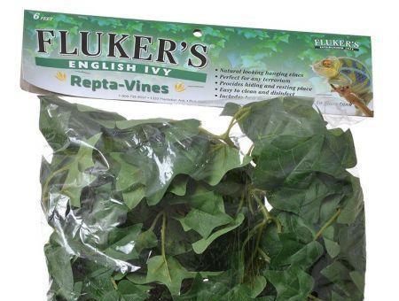 Flukers English Ivy Repta-Vines