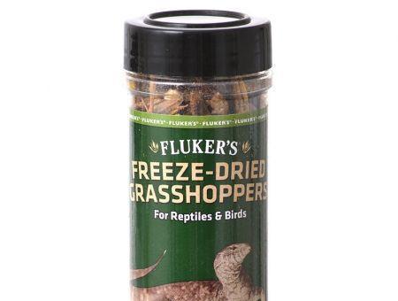 Flukers Freeze-Dried Grasshoppers