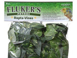 Flukers Pothos Repta-Vines-Reptile-www.YourFishStore.com