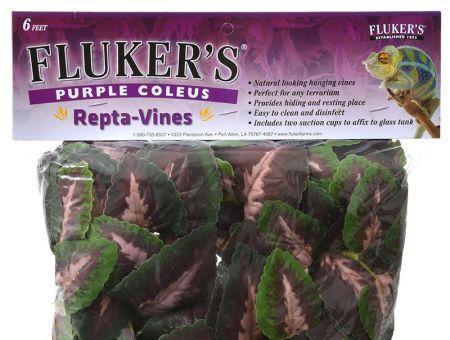 Flukers Purple Coleus Repta-Vines