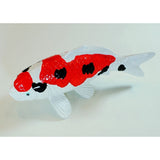 Koi Replica Sanke 20cm (7.9")-www.YourFishStore.com