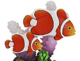 Penn Plax Clown Fish and Coral Aquarium Ornament-Fish-www.YourFishStore.com