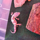 WYSIWYG - Tangerine Leopard Gecko 113-www.YourFishStore.com