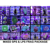 X50 Assorted Sps & Lps Frag Package - Live Coral *Bulk Save-frag packages-www.YourFishStore.com
