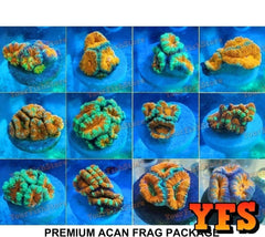 X9 Premium Assorted Acan Frag Picks-frag packages-www.YourFishStore.com