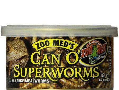 Zoo Med Can O Superworms Extra Large Mealworms