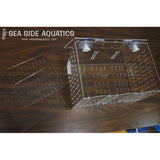 Bubble Magus Acclimation Box RF300-www.YourFishStore.com