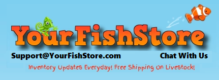 www.YourFishStore.com