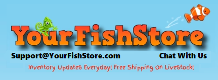 Store Logo