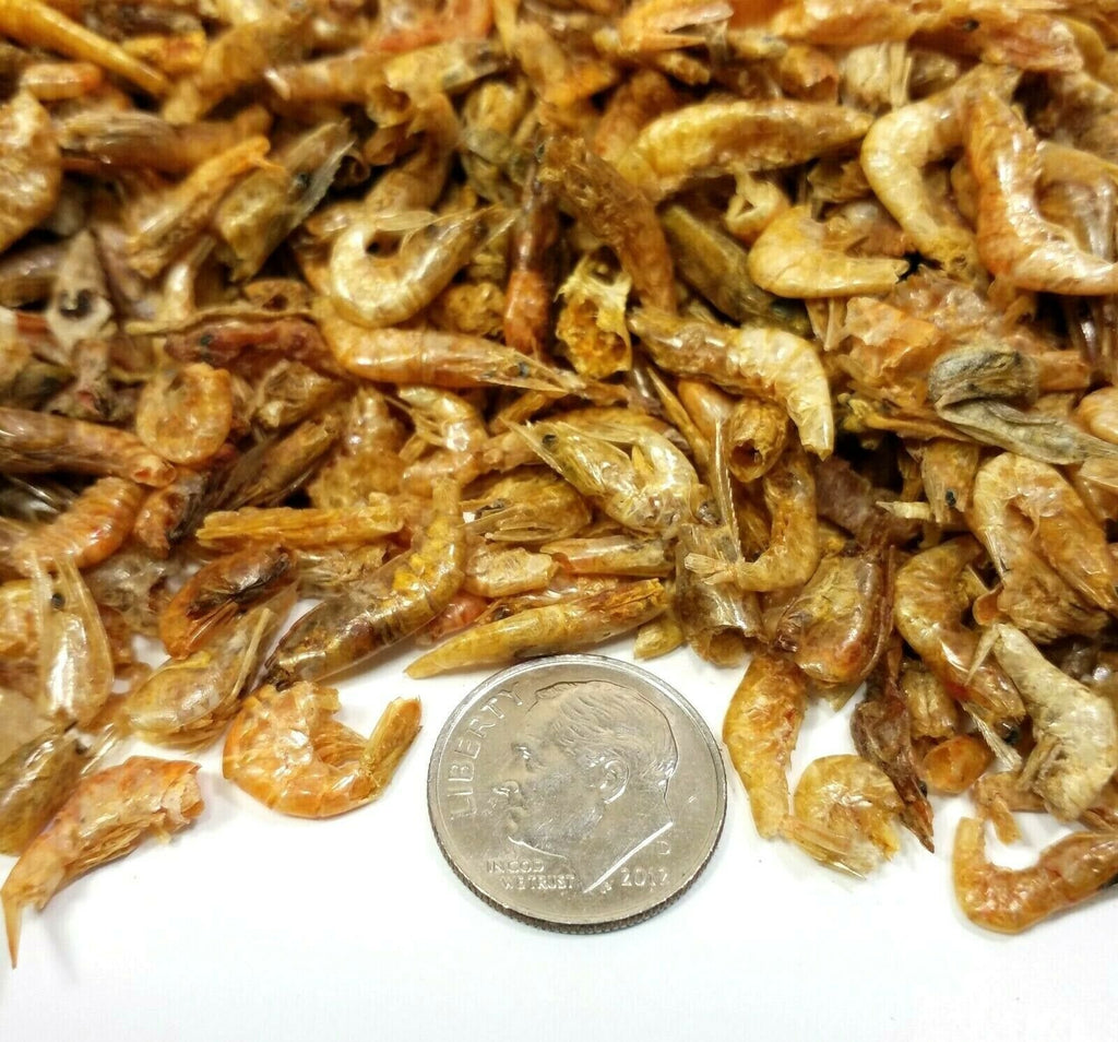 1/2 Pound - Freshwater Shrimp Freeze Dried Bulk Natural Protein- Free Shipping