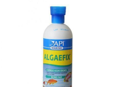 API AlgaeFix for Marine Aquariums-Fish-www.YourFishStore.com