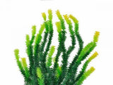 Aquatop Green Aquarium Plant with Light Tips-Fish-www.YourFishStore.com