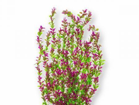 Aquatop Leafy Aquarium Plant - Pink & Green