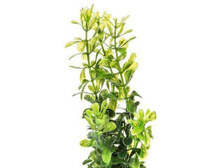 Aquatop Plastic Aquarium Plants Power Pack - Rich Green