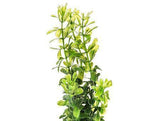 Aquatop Plastic Aquarium Plants Power Pack - Rich Green-Fish-www.YourFishStore.com