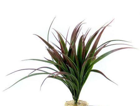 Blue Ribbon Amazonian Plant with Gravel Base Plum