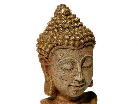 Blue Ribbon Exotic Environments Thai Buddha Head