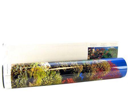 Blue Ribbon Freshwater Garden & Carribean Coral Reef Double Sided Aquarium Background