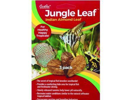 Caribsea Jungle Indian Almond Leaf