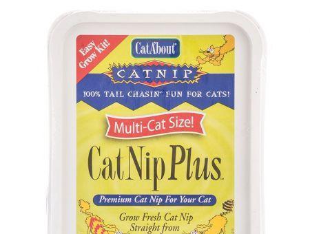 CatA'bout CatNip Plus Easy Grow Kit