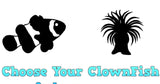 Choose Your ClownFish and Anemone Package-Choose Your Fish-www.YourFishStore.com