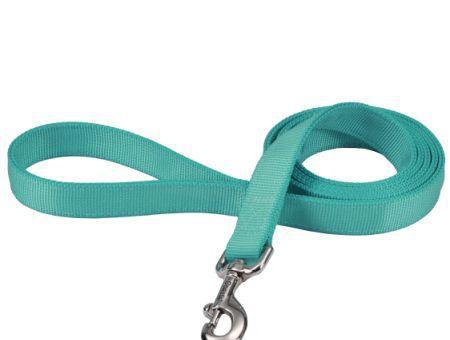 Coastal Pet Double-ply Nylon Dog Lead Teal