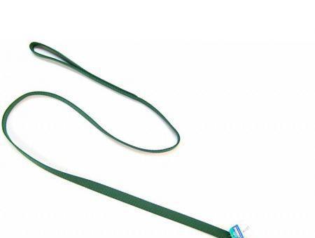 Coastal Pet Nylon Lead - Hunter Green