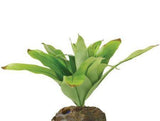 Exo Terra Dart Frog Bromelia Smart Terrarium Plant-Reptile-www.YourFishStore.com