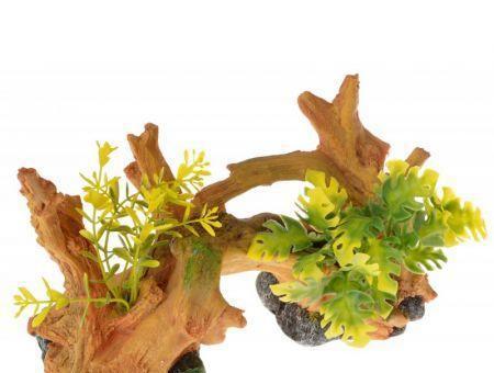 Exotic Environments Driftwood Centerpiece with Plants - Small