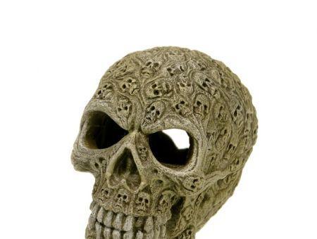 Exotic Environments Haunted Skull Aquarium Ornament