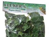 Flukers English Ivy Repta-Vines-Reptile-www.YourFishStore.com