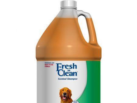 Fresh 'n Clean Scented Shampoo with Protein - Fresh Clean Scent