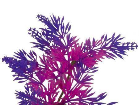 GloFish Plastic Aquarium Plant - Purple/Pink