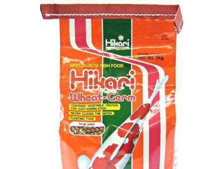 Hikari Wheat Germ - Large Pellet