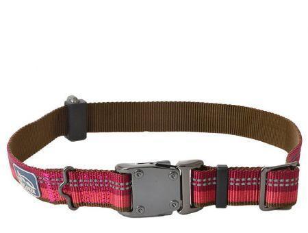 K9 Explorer Berry Red Reflective Adjustable Dog Collar