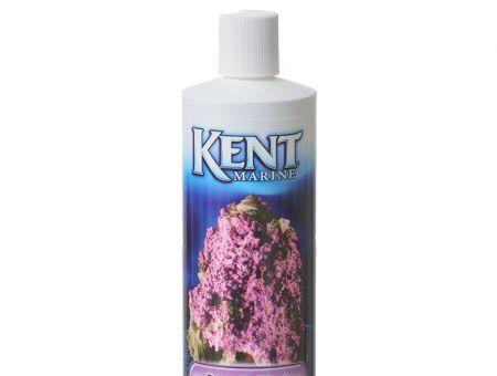 Kent Marine Purple Tech