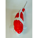 Koi Replica Kohaku 40cm (15.7")-www.YourFishStore.com