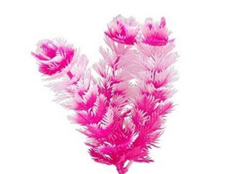 Marina Betta Foxtail Hot Pink/White Plastic Plant