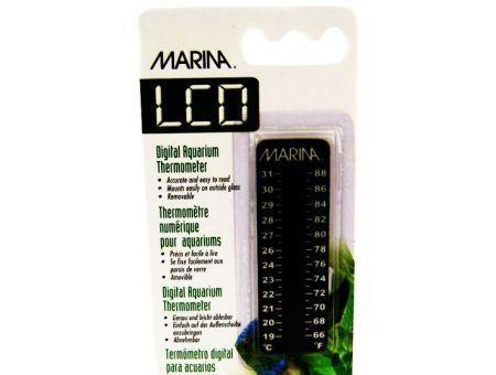 Marina Dorado Thermometer