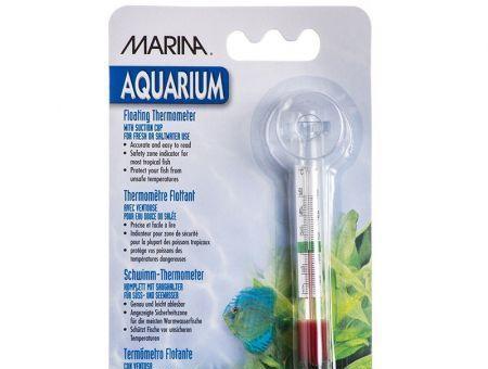 Marina Floating Thermometer with Suction Cup