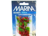 Marina Red Ludwigia Plant-Fish-www.YourFishStore.com