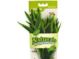 Marina Silk Dracena Aquarium Plant - Green-Fish-www.YourFishStore.com