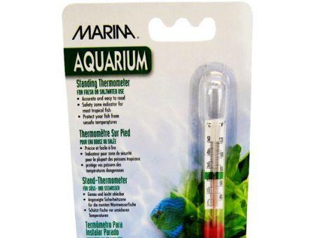 Marina Standing Thermometer