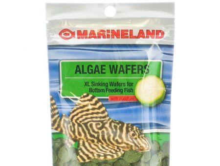 Marineland Algae Wafers with Zucchini