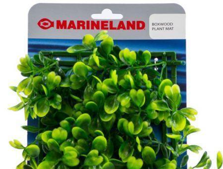 Marineland Boxwood Plant Mat